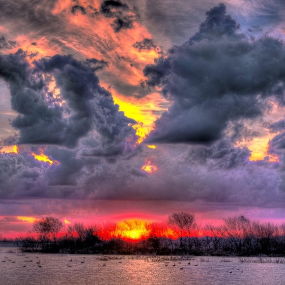 mppfive